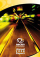 Annual Report 2008
