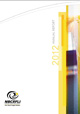 Annual Report 2012